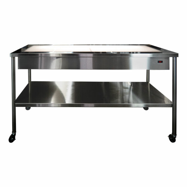 Linen Inspection Table with LED-work surface, stainless steel construction, and durable frame for linen, drapes and wraps examination